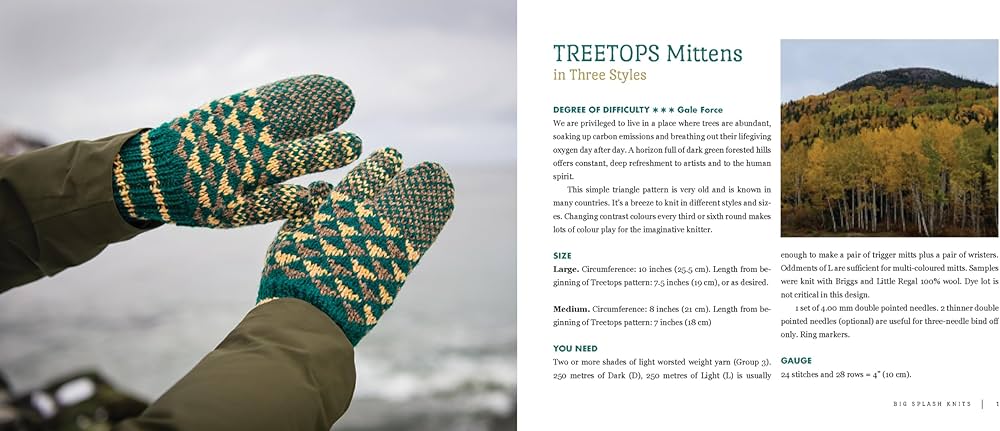 Big Splash Knits by Shirley Scott